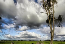 高清：曼联1-1阿森纳 B费破门赖斯扳平.