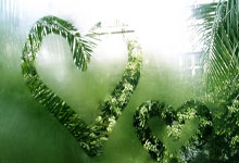 黑白体育：迪拜集训备战世预赛 国足期待5位新人“上位”.