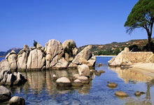 逼全红婵学英语，不学就骂白痴，连对岸都看不下去了.